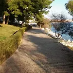 Carija 2 * 特罗吉尔