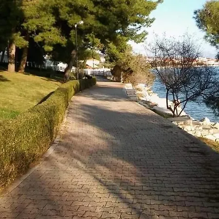 Carija 2 * Τρογκίρ
